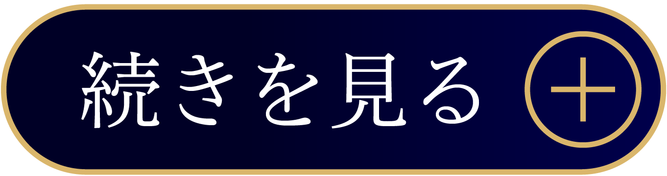 続きを見る